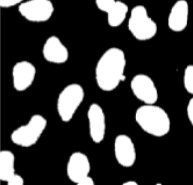 Medical image segmentation publication preview